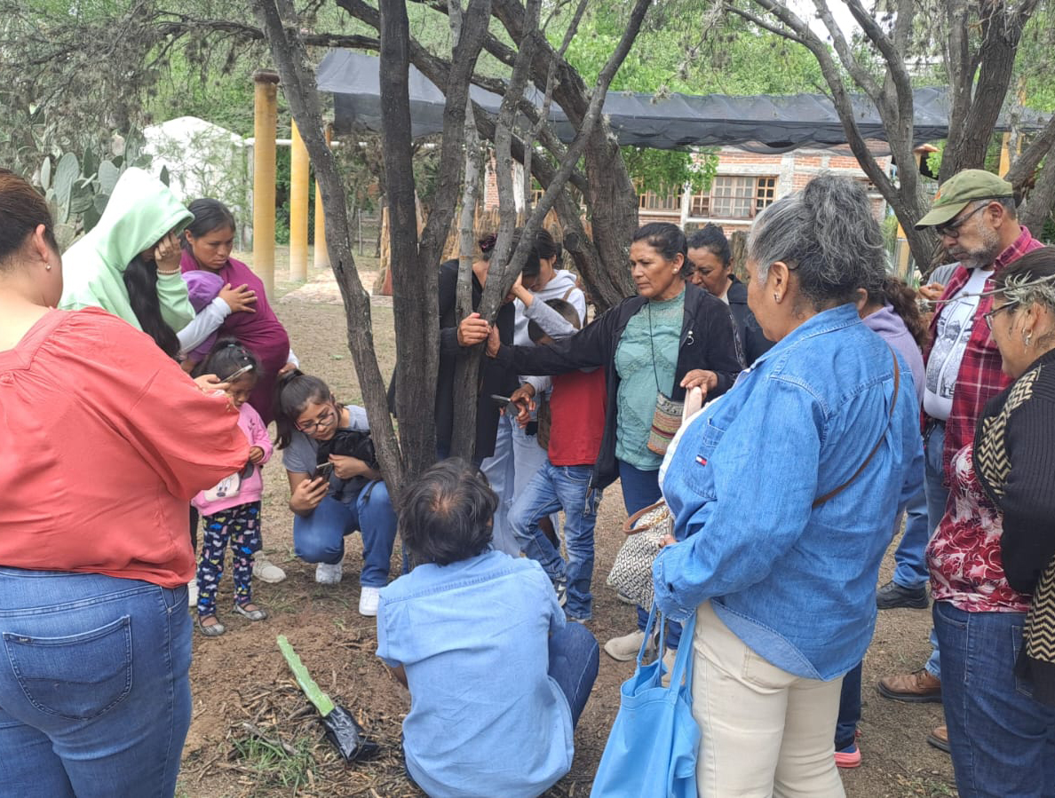 Taller Pitahayas (2)