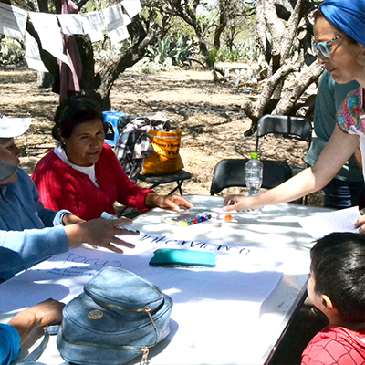 organizacion