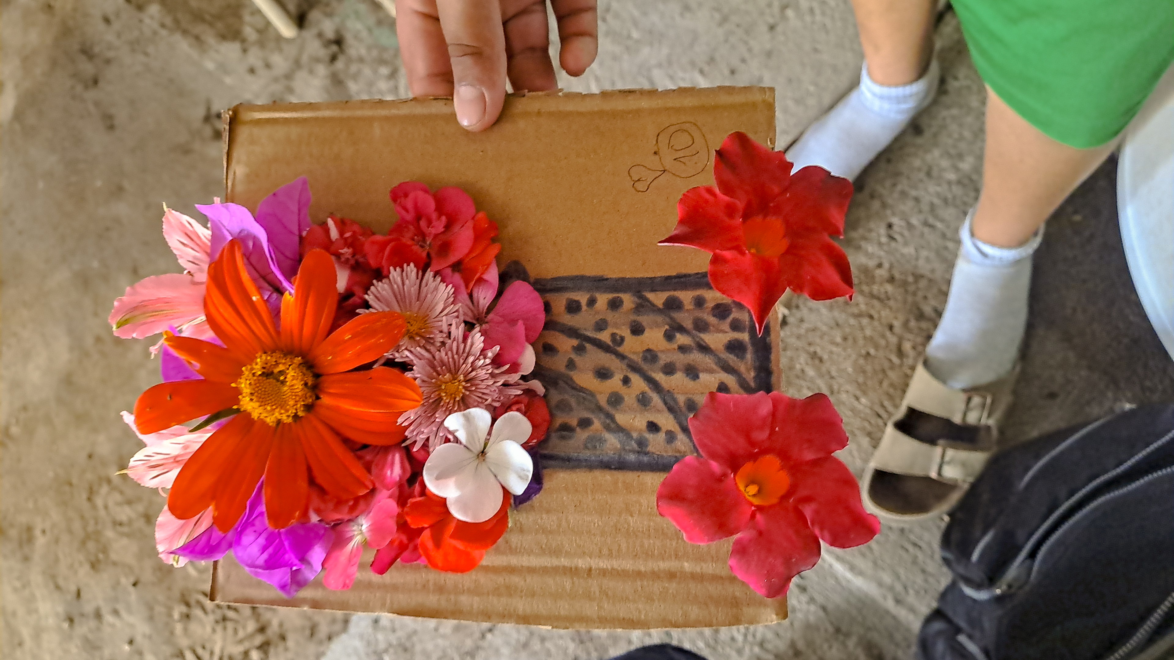 260821_Niñeces-flores-Tinaja (3)